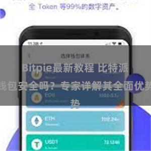 Bitpie最新教程 比特派钱包安全吗？专家详解其全面优势