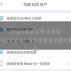 Bitpie系统支持 比特派钱包安全吗？专家详解其全面优势