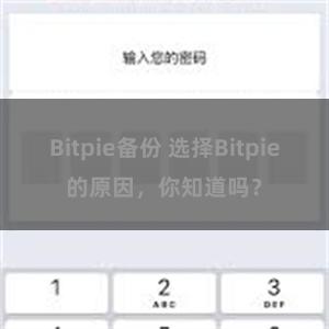 Bitpie备份 选择Bitpie的原因，你知道吗？