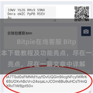 Bitpie在线客服 Bitpie钱包最新版本下载教程及功能亮点，尽在一篇文章中详解
