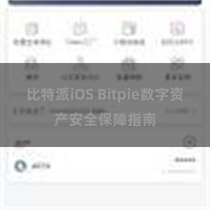 比特派iOS Bitpie数字资产安全保障指南