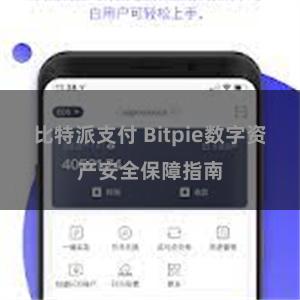 比特派支付 Bitpie数字资产安全保障指南