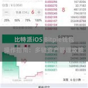 比特派iOS Bitpie钱包操作指南：多链资产管理攻略