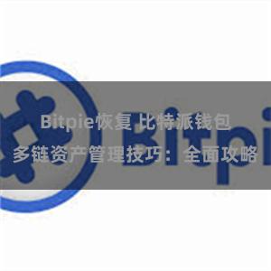 Bitpie恢复 比特派钱包多链资产管理技巧：全面攻略