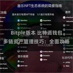 Bitpie版本 比特派钱包多链资产管理技巧：全面攻略