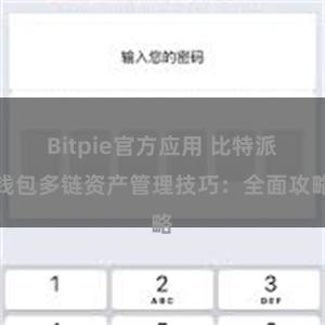 Bitpie官方应用 比特派钱包多链资产管理技巧：全面攻略