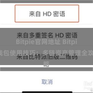 Bitpie官网地址 Bitpie钱包使用技巧：多链资产管理
