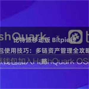 比特派移动版 Bitpie钱包使用技巧：多链资产管理全攻略