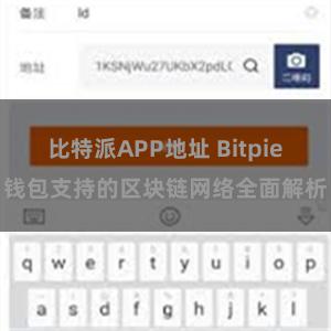 比特派APP地址 Bitpie钱包支持的区块链网络全面解析