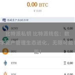 比特派私钥 比特派钱包：数字资产管理生态进化，无限可能！