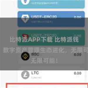 比特派APP下载 比特派钱包：数字资产管理生态进化，无限可能