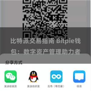 比特派交易指南 Bitpie钱包：数字资产管理助力者