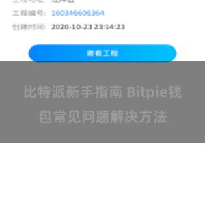 比特派新手指南 Bitpie钱包常见问题解决方法
