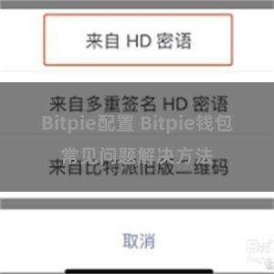 Bitpie配置 Bitpie钱包常见问题解决方法