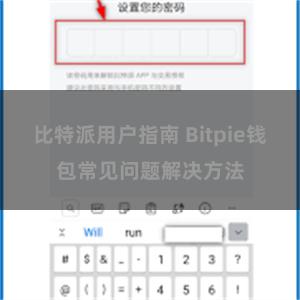 比特派用户指南 Bitpie钱包常见问题解决方法