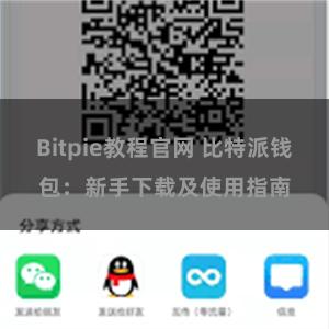Bitpie教程官网 比特派钱包：新手下载及使用指南