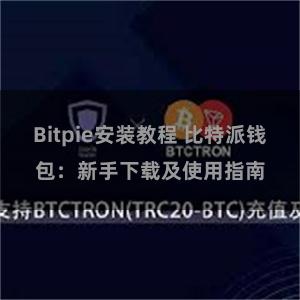 Bitpie安装教程 比特派钱包：新手下载及使用指南