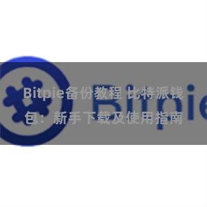 Bitpie备份教程 比特派钱包：新手下载及使用指南