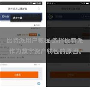 比特派用户教程 选择比特派作为数字资产钱包的原因。