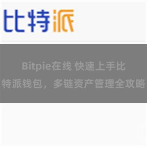 Bitpie在线 快速上手比特派钱包，多链资产管理全攻略