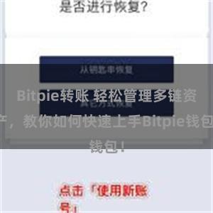 Bitpie转账 轻松管理多链资产，教你如何快速上手Bitpie钱包！