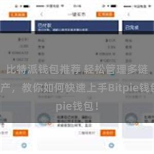 比特派钱包推荐 轻松管理多链资产，教你如何快速上手Bitpi