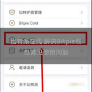 比特派在线 解决Bitpie钱包常见使用问题