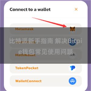 比特派新手指南 解决Bitpie钱包常见使用问题