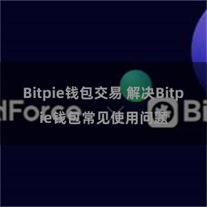 Bitpie钱包交易 解决Bitpie钱包常见使用问题