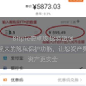 Bitpie安卓版 比特派钱包：强大的隐私保护功能，让您资产