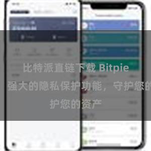 比特派直链下载 Bitpie钱包：强大的隐私保护功能，守护您的资产