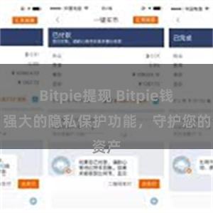 Bitpie提现 Bitpie钱包：强大的隐私保护功能，守护