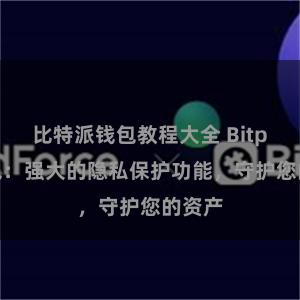 比特派钱包教程大全 Bitpie钱包：强大的隐私保护功能，守护您的资产