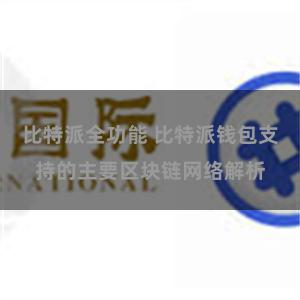比特派全功能 比特派钱包支持的主要区块链网络解析