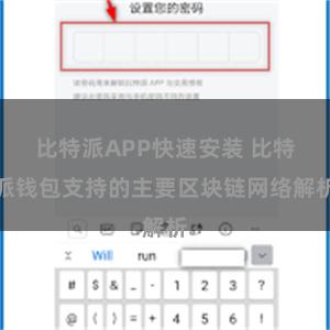 比特派APP快速安装 比特派钱包支持的主要区块链网络解析