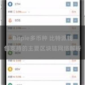 Bitpie多币种 比特派钱包支持的主要区块链网络解析