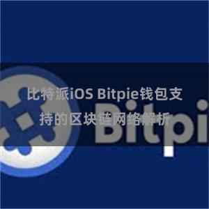 比特派iOS Bitpie钱包支持的区块链网络解析
