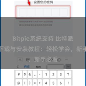 Bitpie系统支持 比特派钱包下载与安装教程：轻松学会，新