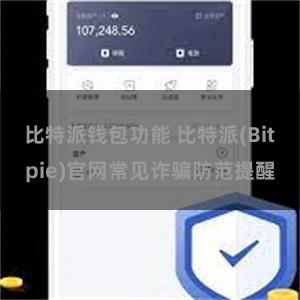 比特派钱包功能 比特派(Bitpie)官网常见诈骗防范提醒