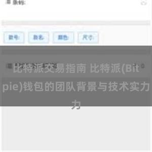 比特派交易指南 比特派(Bitpie)钱包的团队背景与技术实