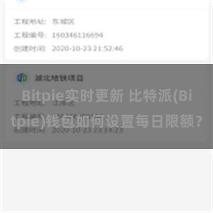 Bitpie实时更新 比特派(Bitpie)钱包如何设置每日