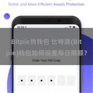 Bitpie热钱包 比特派(Bitpie)钱包如何设置每日限