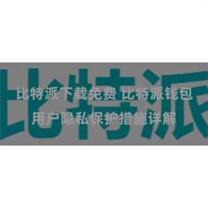 比特派下载免费 比特派钱包用户隐私保护措施详解