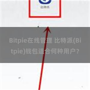 Bitpie在线管理 比特派(Bitpie)钱包适合何种用户？