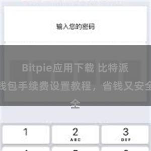 Bitpie应用下载 比特派钱包手续费设置教程，省钱又安全