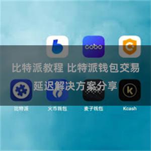 比特派教程 比特派钱包交易延迟解决方案分享
