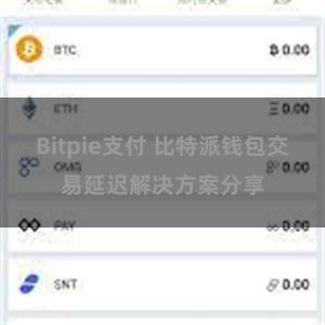Bitpie支付 比特派钱包交易延迟解决方案分享