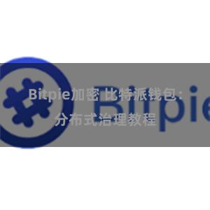 Bitpie加密 比特派钱包：分布式治理教程
