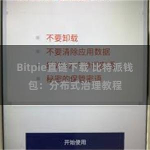 Bitpie直链下载 比特派钱包：分布式治理教程