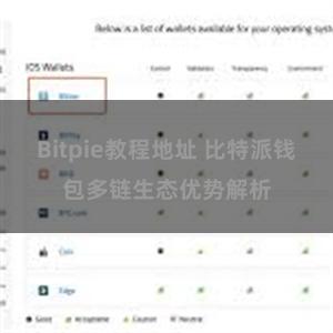 Bitpie教程地址 比特派钱包多链生态优势解析